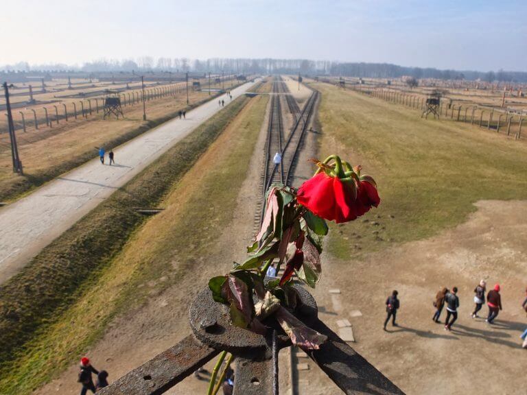 Auschwitz Concentration Camp Tour - Auschwitz I & Auschwitz II-Birkenau.