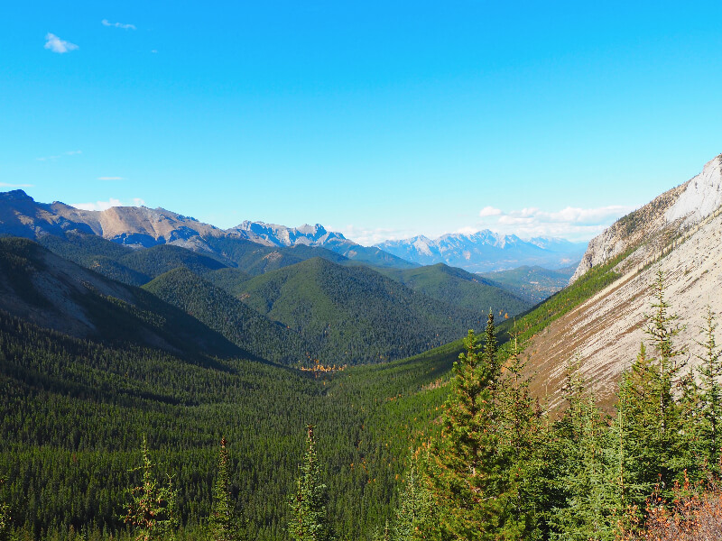 Things to do in Jasper National Park