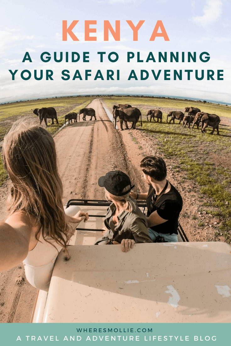 How to plan your safari in Kenya: a guide