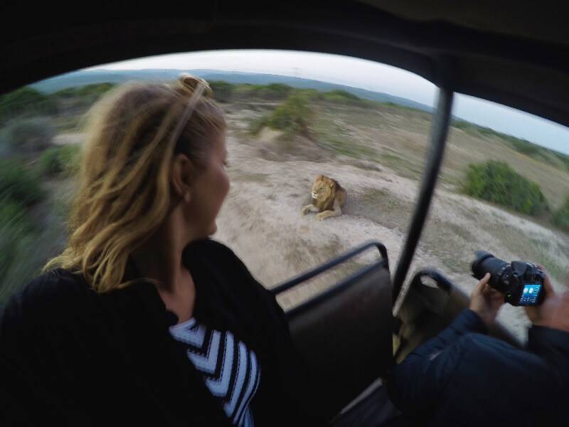 A budget safari at Addo National Park, South Africa