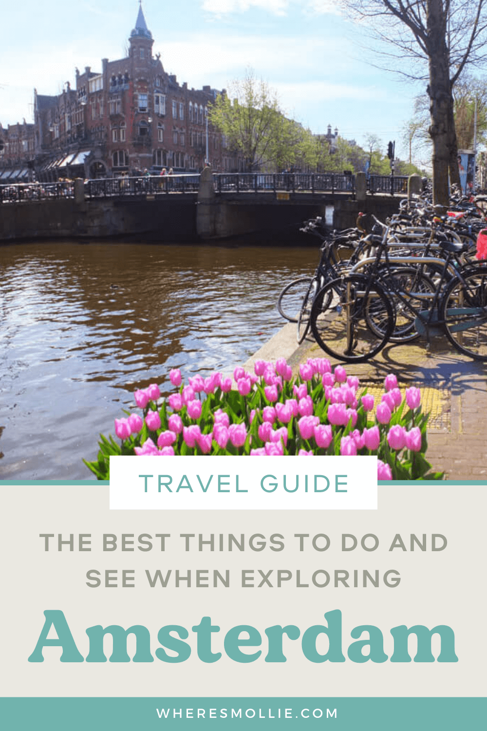 A complete guide to Amsterdam