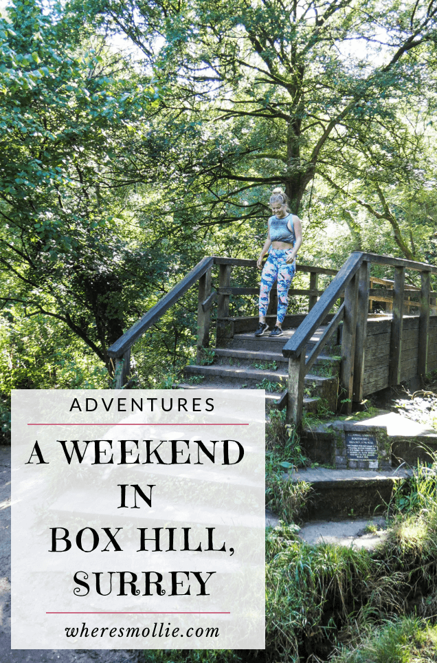 A Weekend in Box Hill, Surrey | Where's Mollie? A UK Travel And Adventure Lifestyle Blog