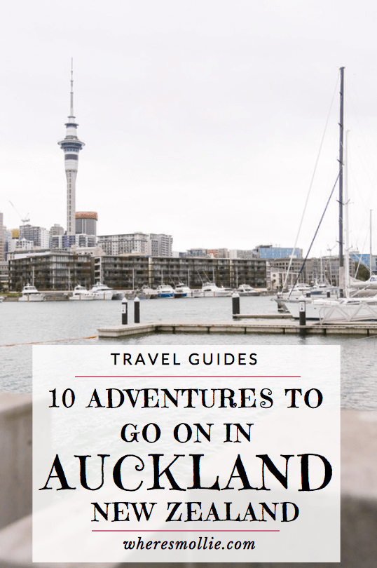 10 Mini adventure to go on in auckland, new zealand | where's mollie? A UK Travel and Adventure Lifestyle Blog