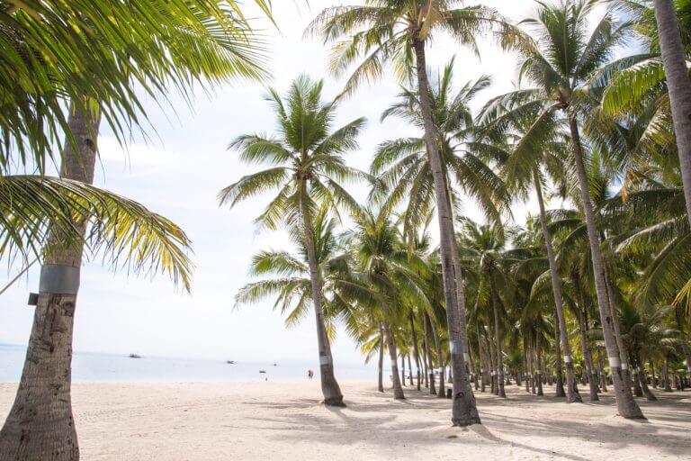 A mini guide to Bohol, the Philippines