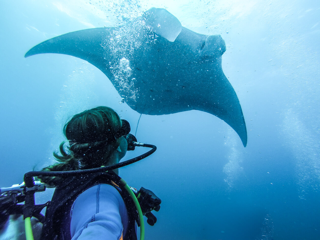 Diving with Manta Rays, Nusa Lembongan Indonesia | Where's Mollie? A Travel and Adventure Lifestyle Blog
