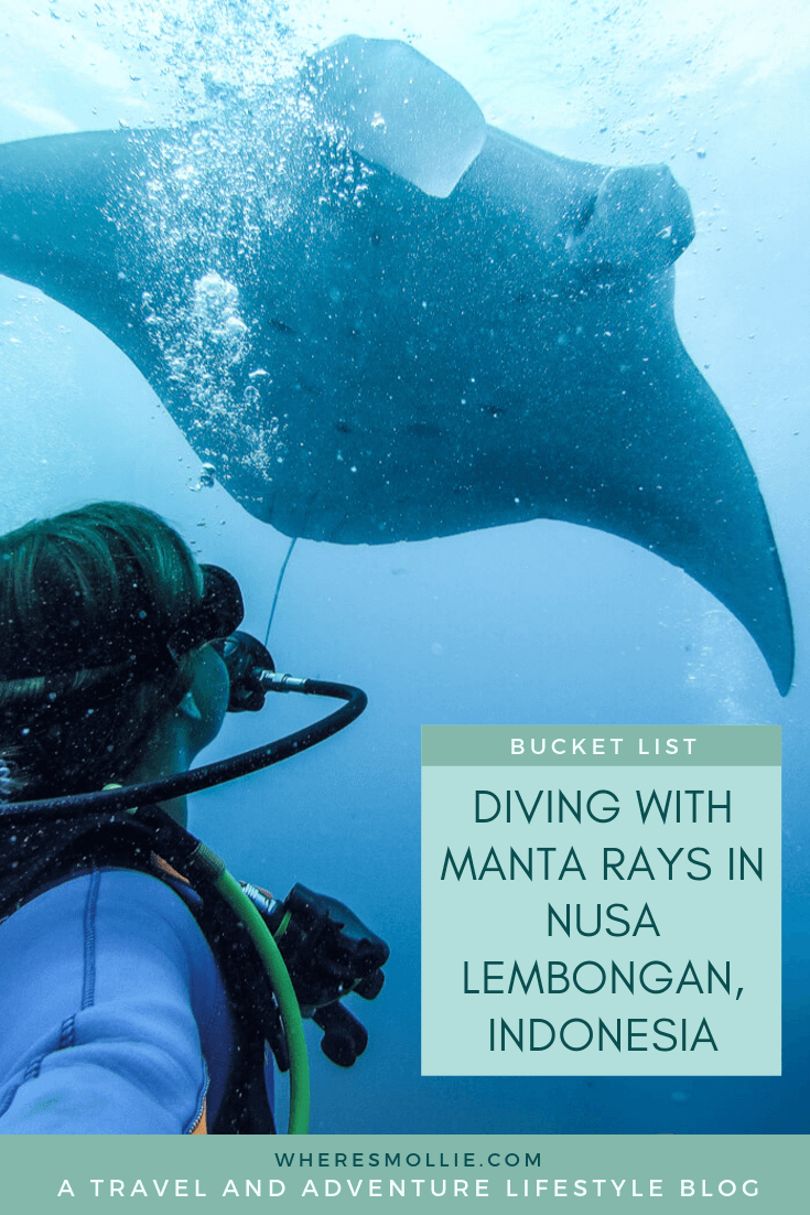 Diving with Manta Rays in Nusa Lembongan, Indonesia