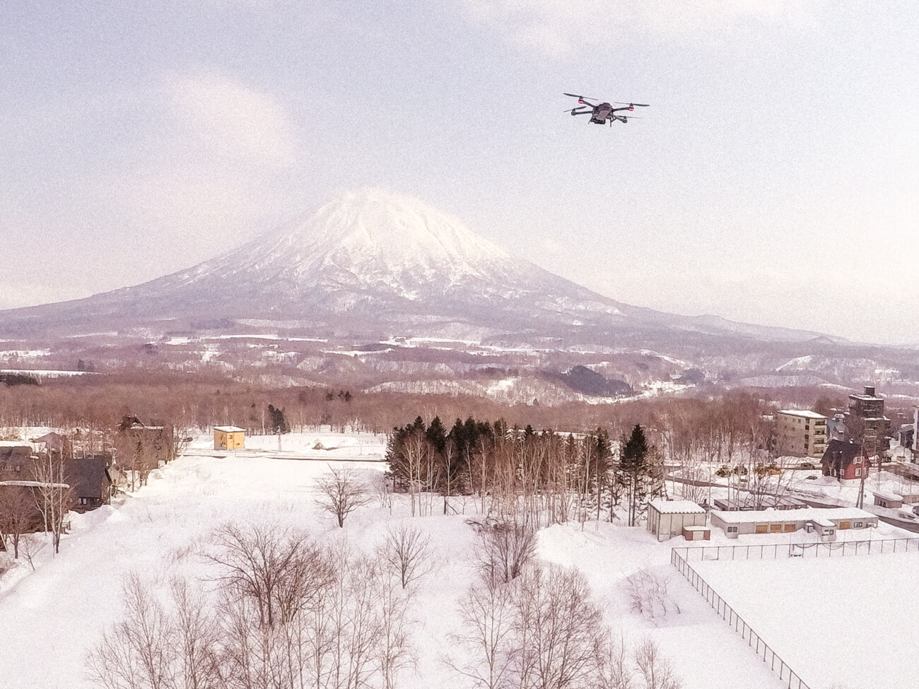 Niseko, Japan: A complete travel guide. Where's Mollie?