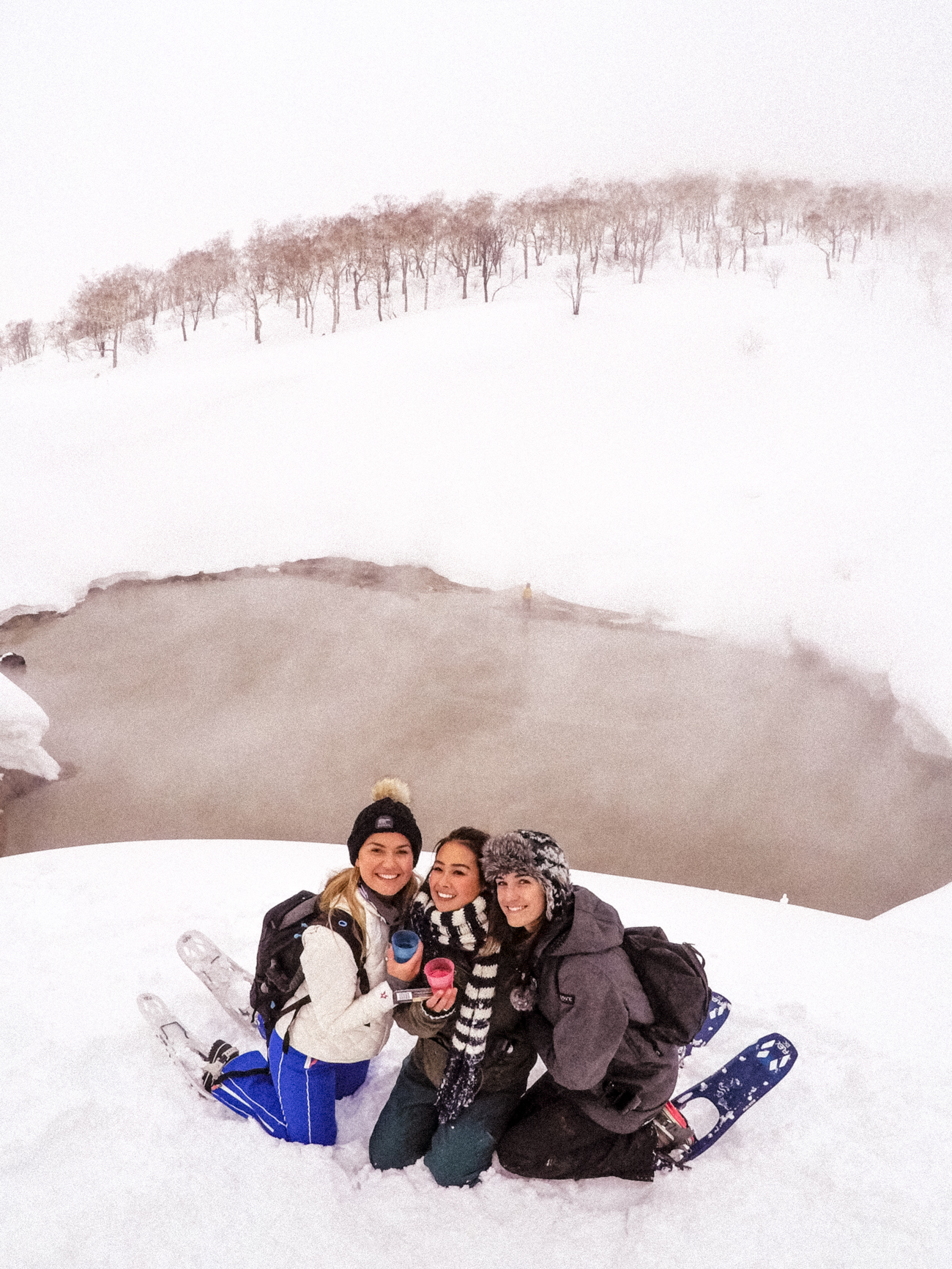 Niseko, Japan: A complete travel guide. Where's Mollie?