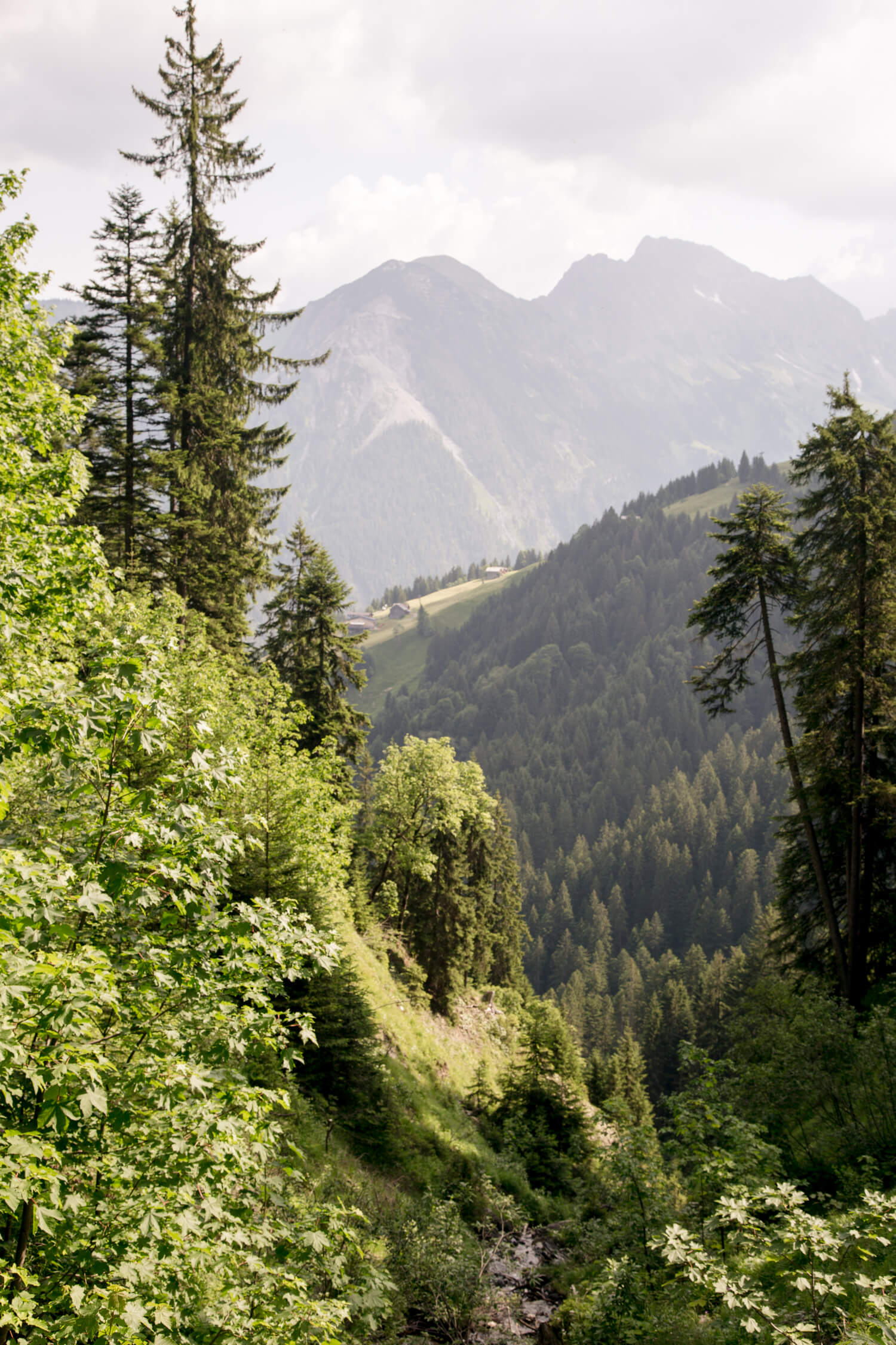 A 6-day Vorarlberg road trip in Austria