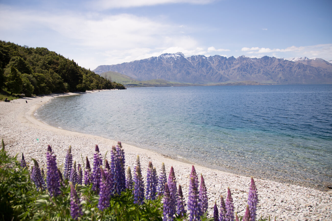A backpacker's guide to Queenstown, New Zealand | Where's Mollie? A travel and adventure lifestyle blog
