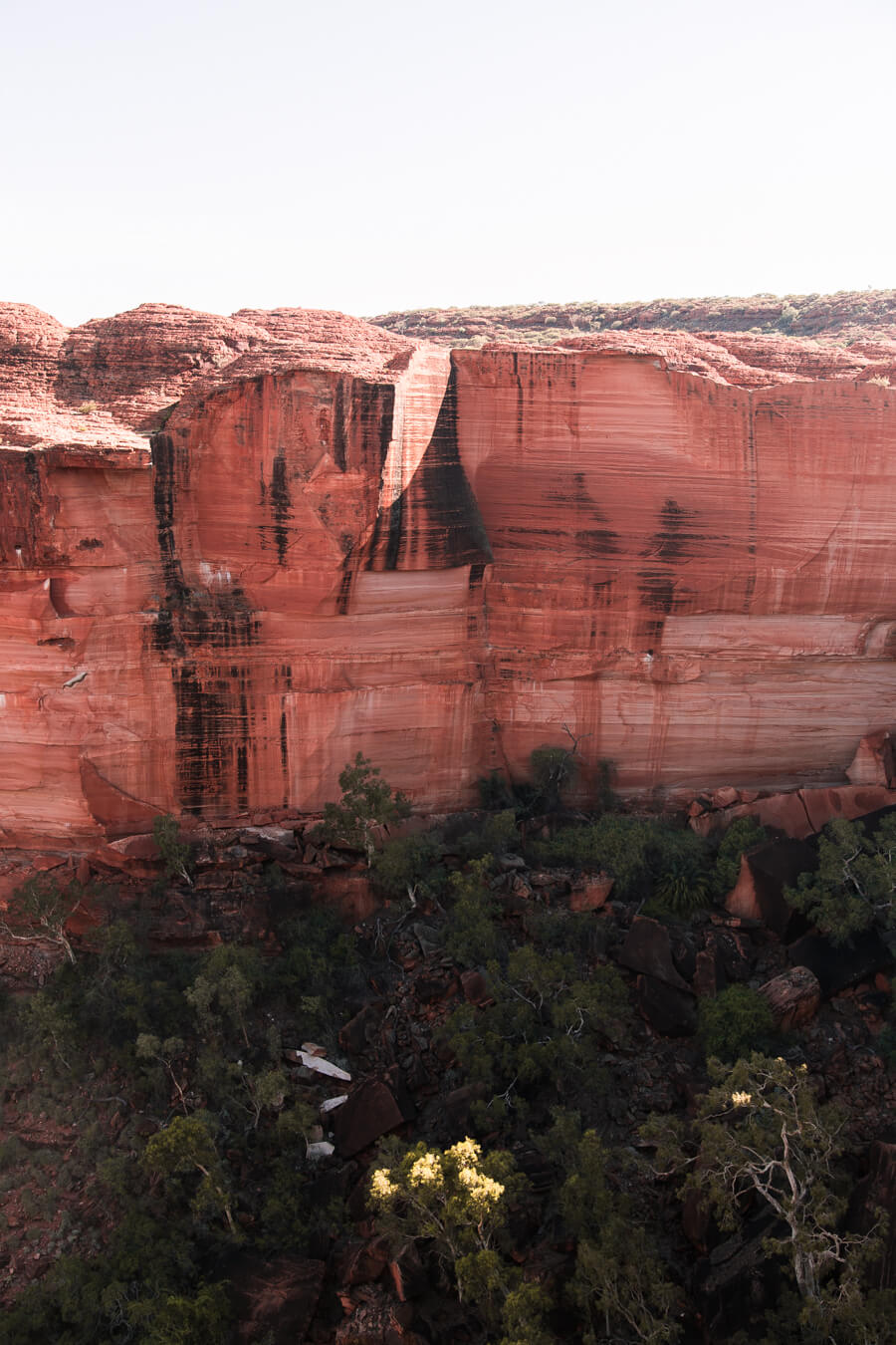 A 5 day Uluru Discovery tour with Topdeck | Where's Mollie? A travel and adventure lifestyle blog