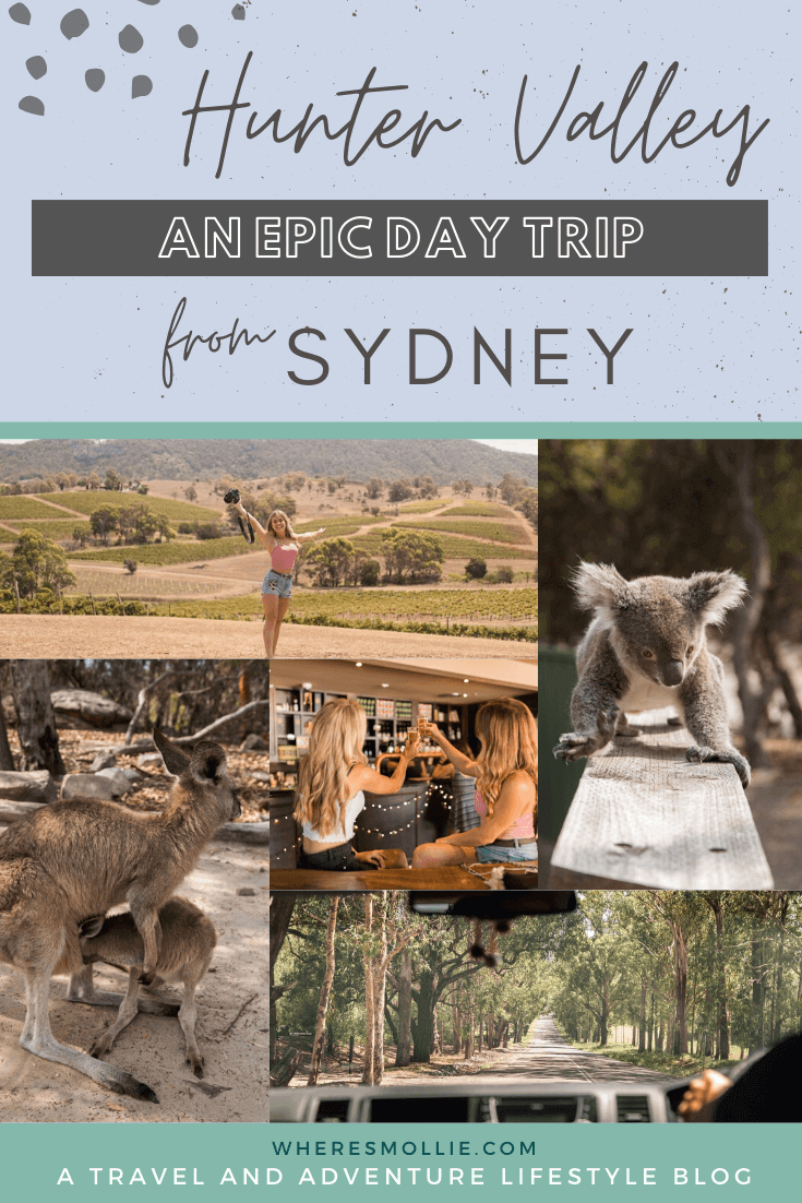 A day trip from Sydney to the Hunter Valley