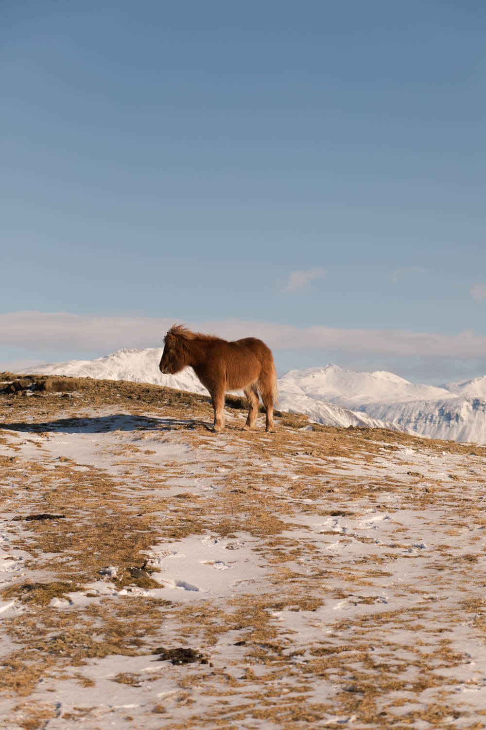 A guide to planning your Iceland road trip ft. our 5 day itinerary | Where's Mollie? A travel and adventure lifestyle blog