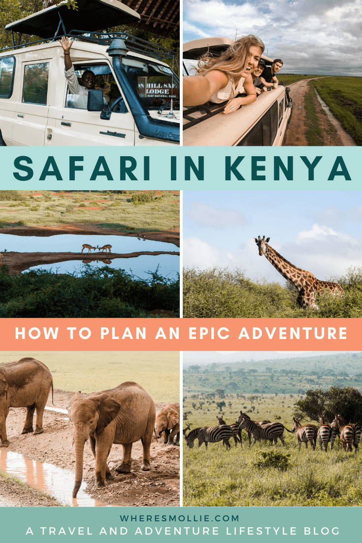 How to plan your safari in Kenya