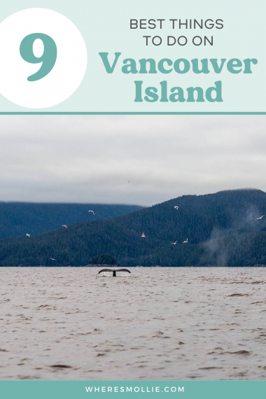 A Vancouver Island Travel Guide For 2021: The Best Things To Do And See