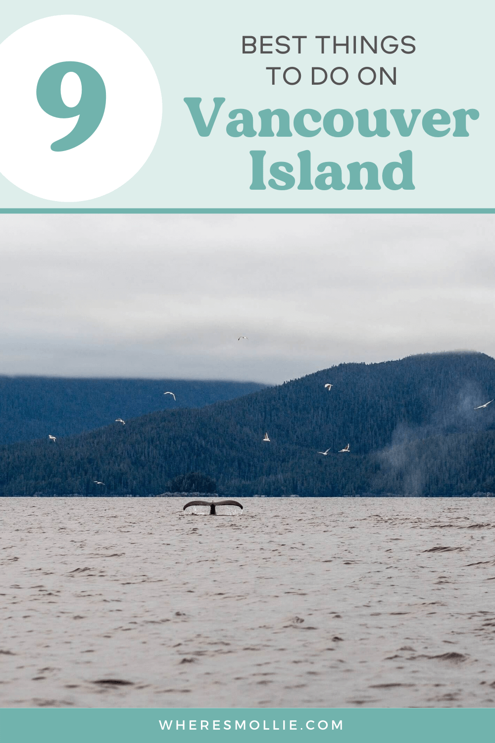 The best things to do and see on Vancouver Island