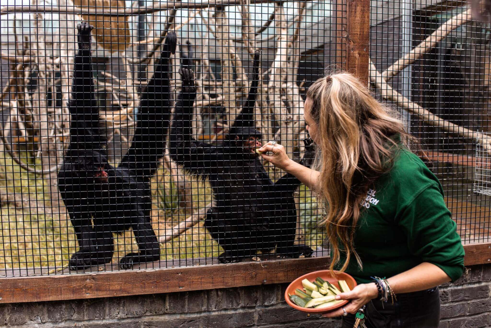 ‘KEEPER FOR A DAY’ EXPERIENCE AT LONDON ZOO | Where's Mollie? A travel and adventure lifestyle blog