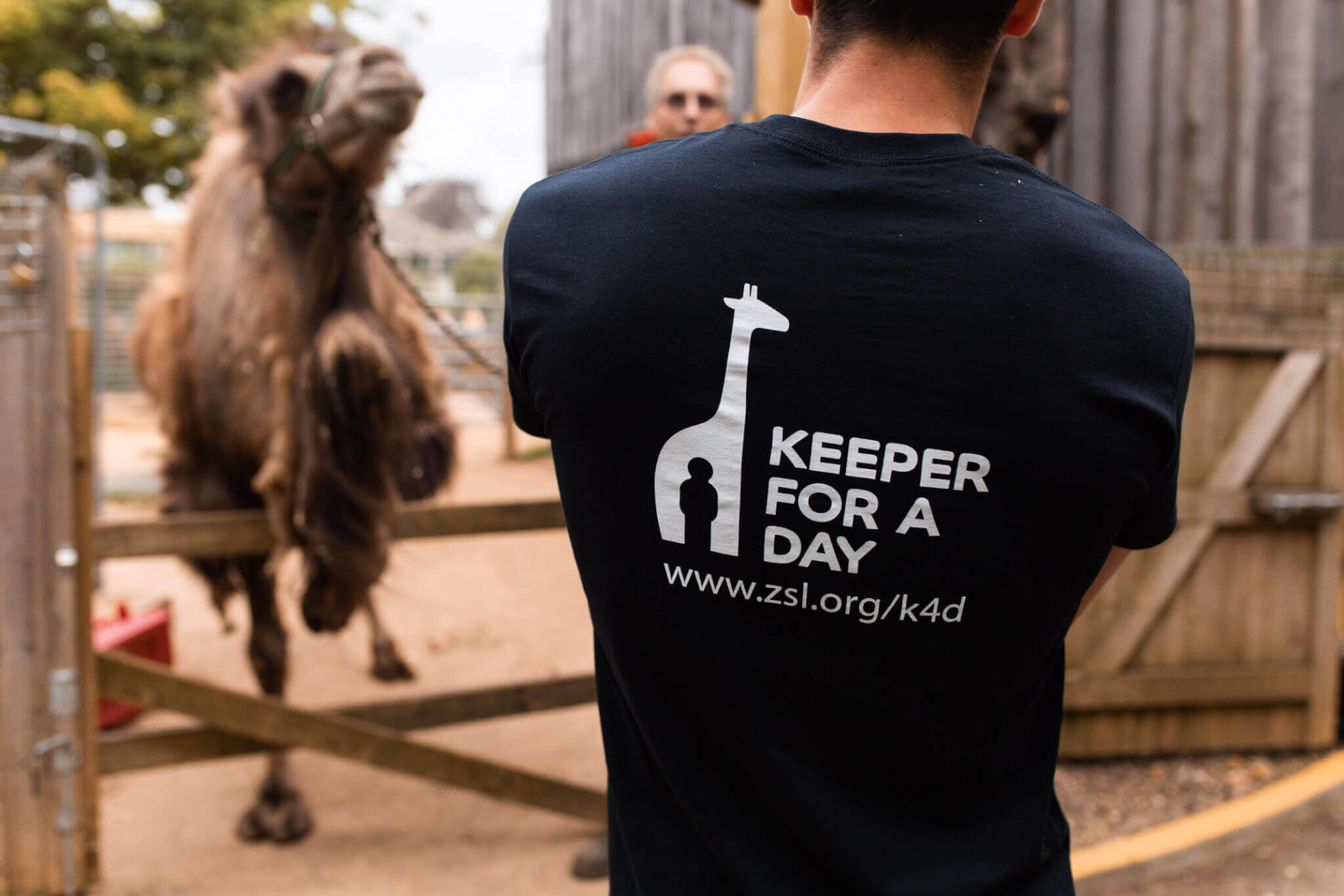‘KEEPER FOR A DAY’ EXPERIENCE AT LONDON ZOO | Where's Mollie? A travel and adventure lifestyle blog