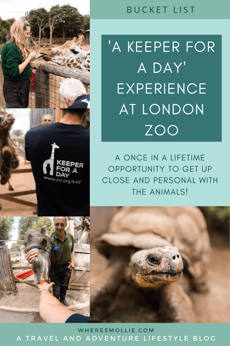 'Keeper for a day' experience at London Zoo