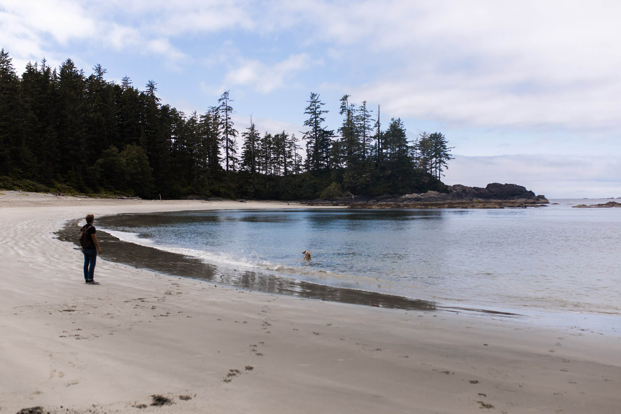 6 days on Vancouver Island: A travel guide