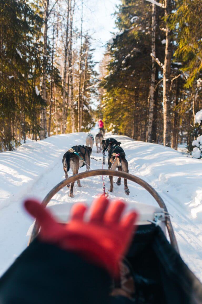 4 days in Finland: Husky safari with an open fire lunch and Spa Bomba