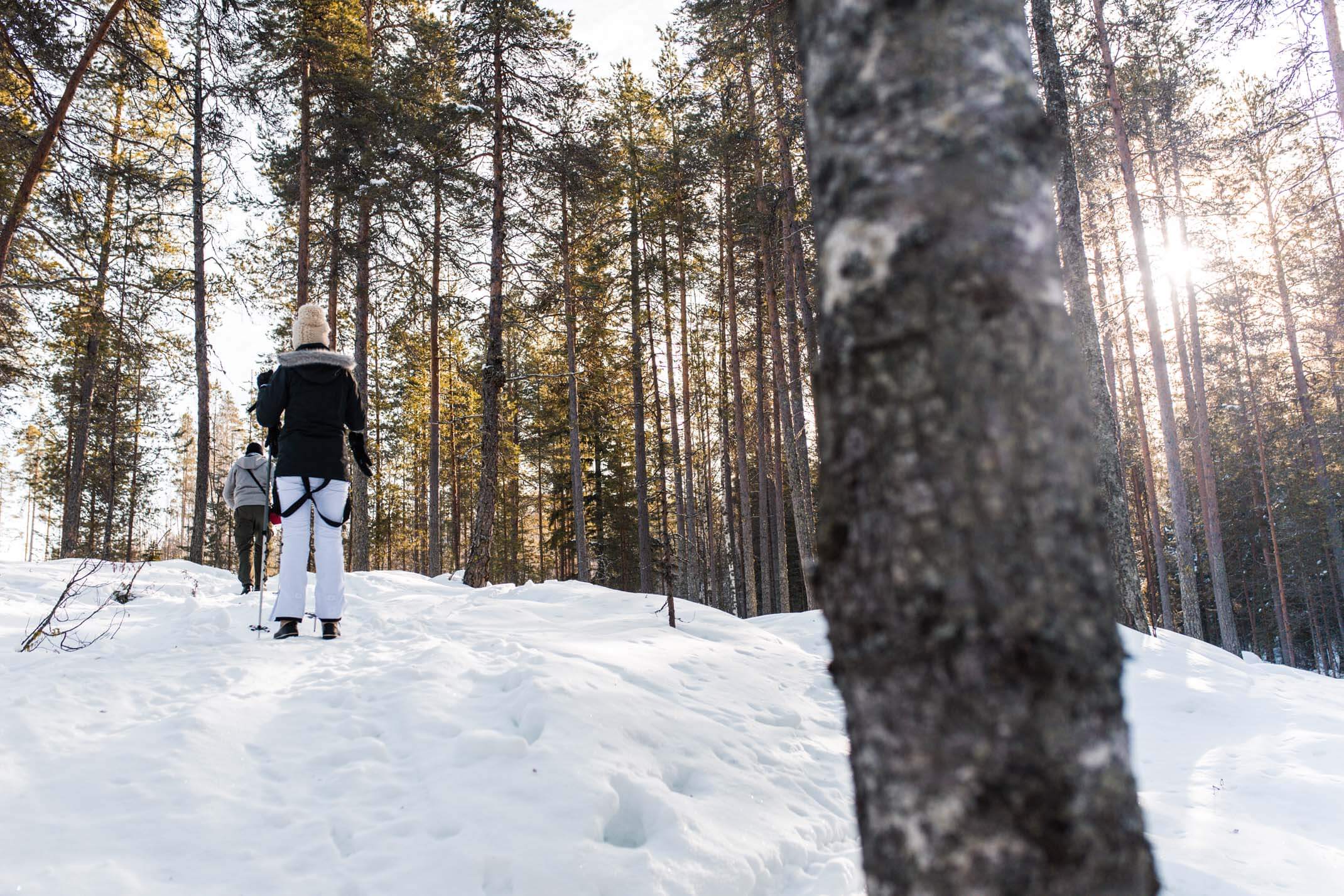 4 days in Finland: Snowshoeing, snowmobiling and a traditional Karelian cooking lesson
