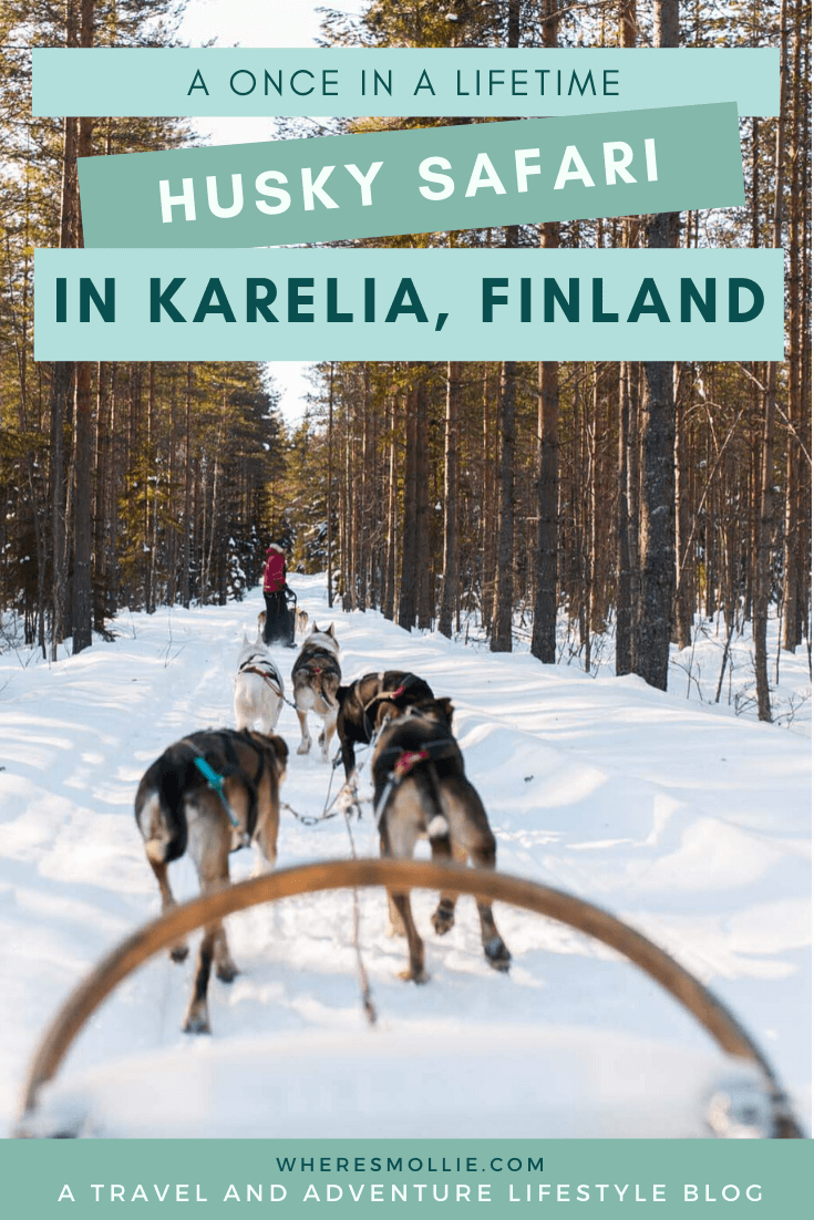 4 days in Finland: Husky safari with an open fire lunch and Spa Bomba