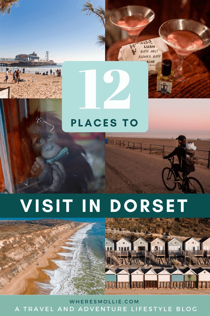 12 day trips in Dorset, England