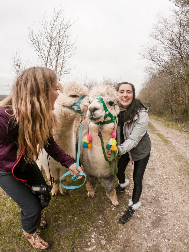 Fun ideas for a 3-day microgap in South Downs National Park, England