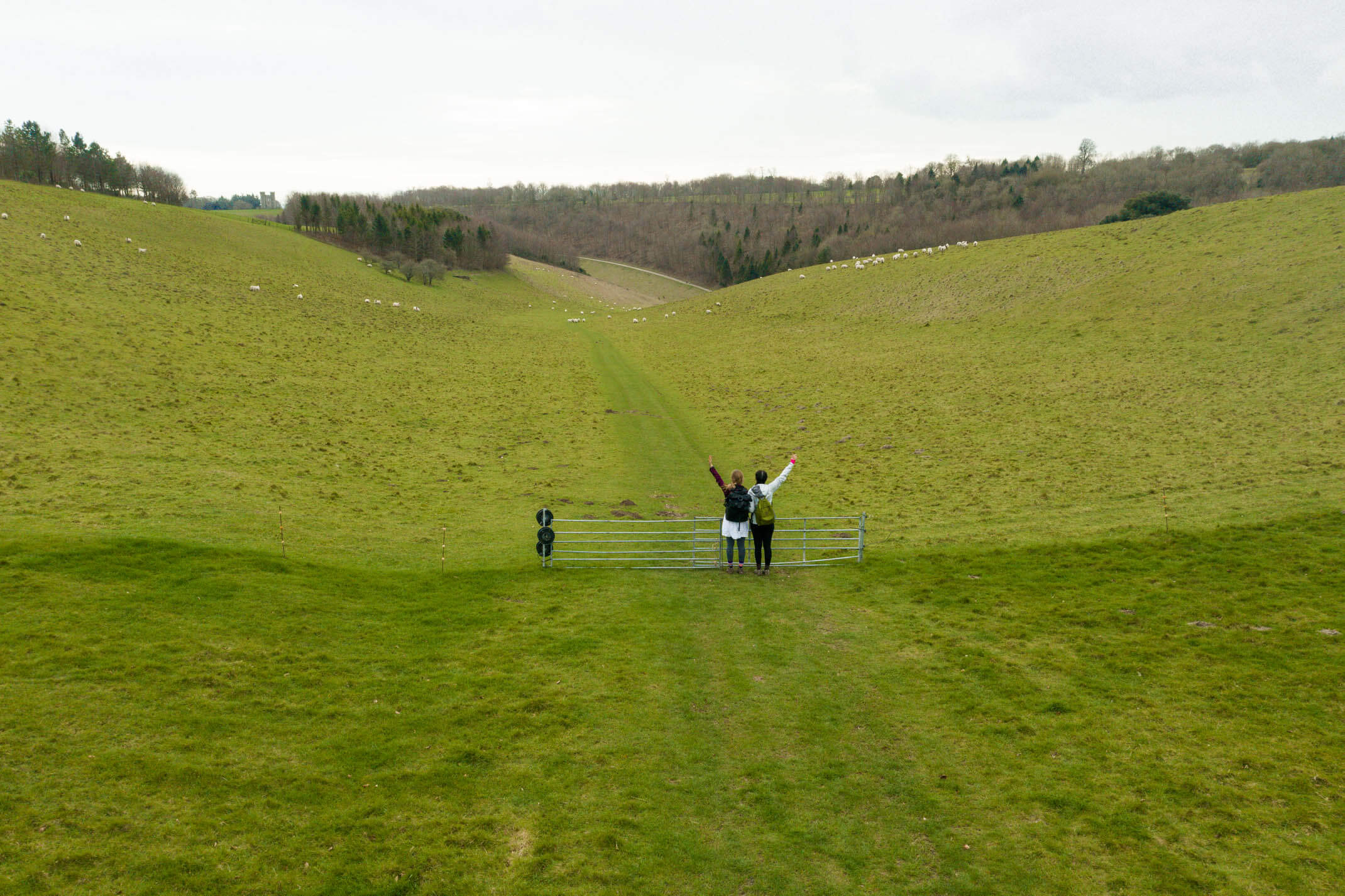 16 Best Hikes In The UK A 2022 UK Bucket List For You   South Downs 8 