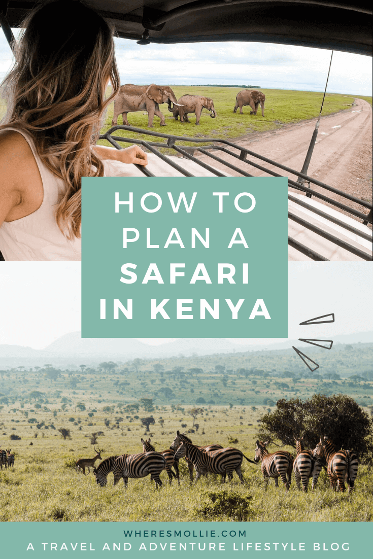 Five days, three national parks, one epic safari in Kenya