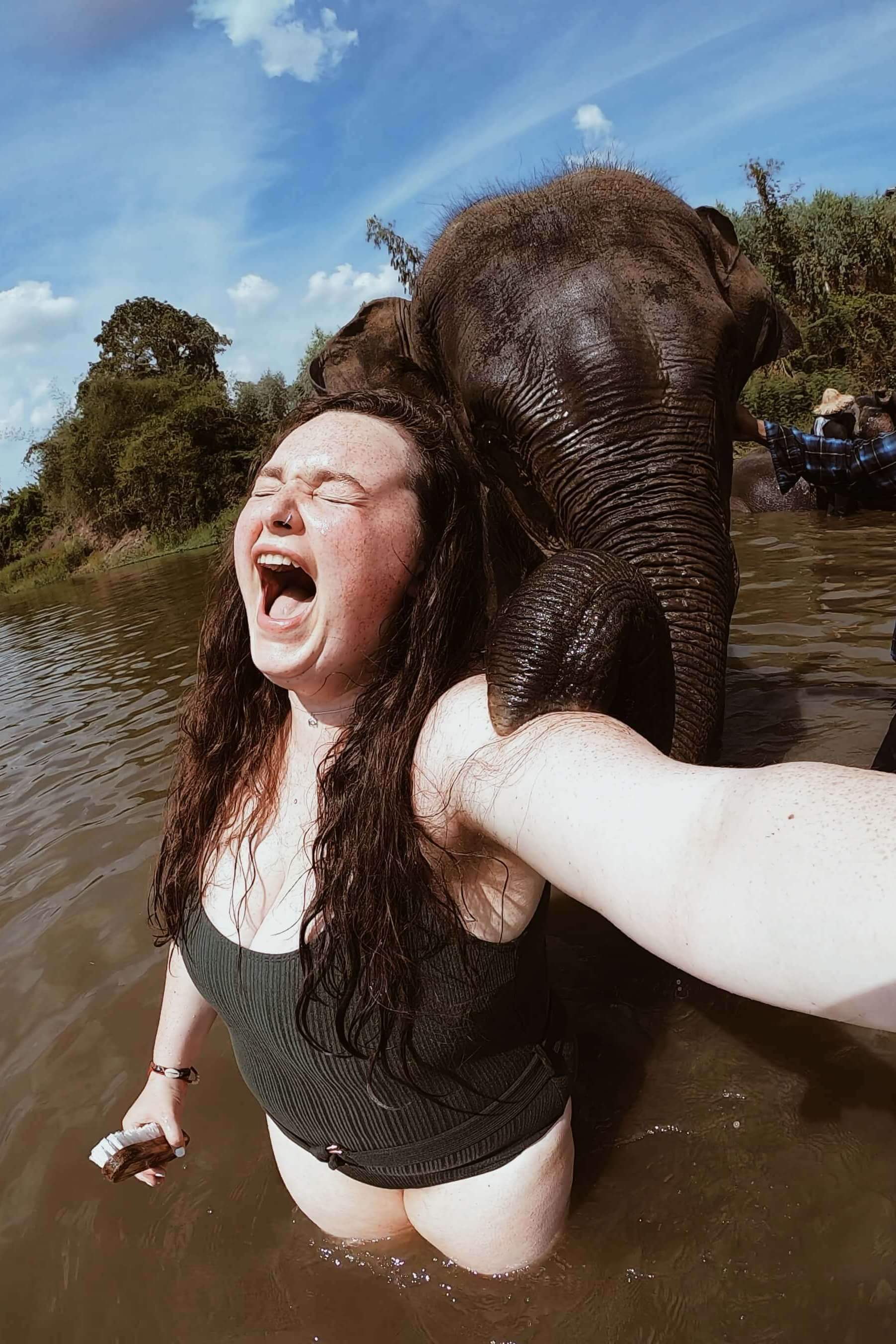 Volunteering in an elephant sanctuary in Thailand