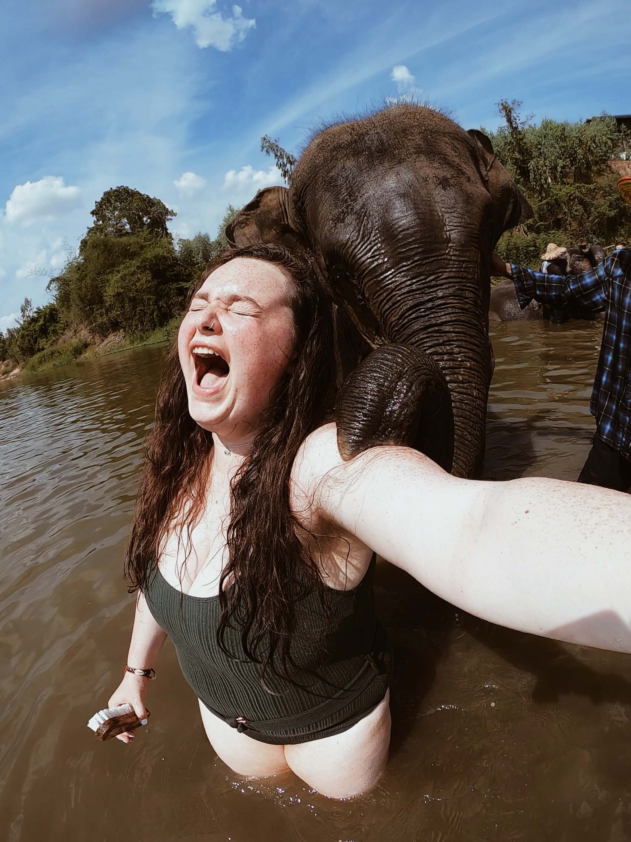 Volunteering in an elephant sanctuary - Surin, Thailand