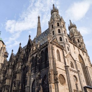 A guide to visiting Vienna during summer