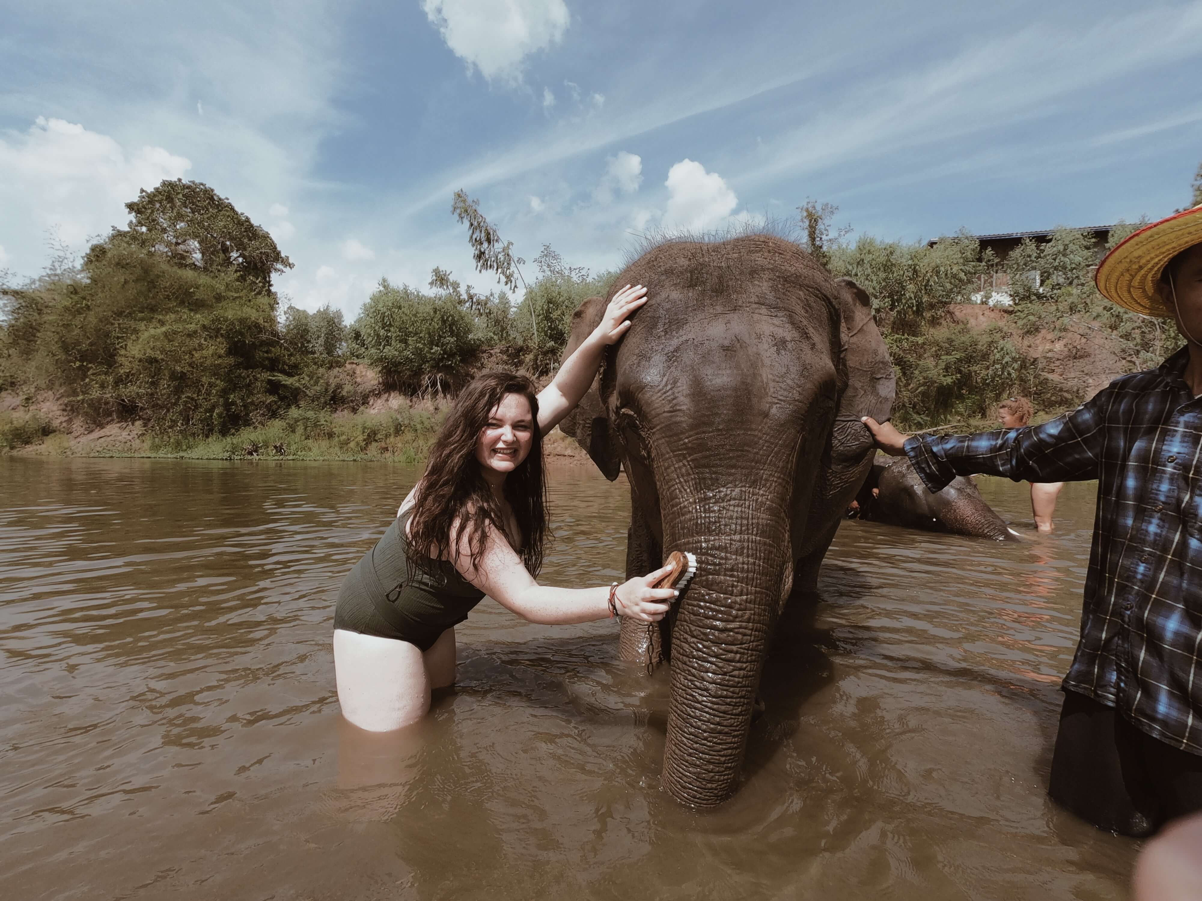 Volunteering in an elephant sanctuary - Surin, Thailand