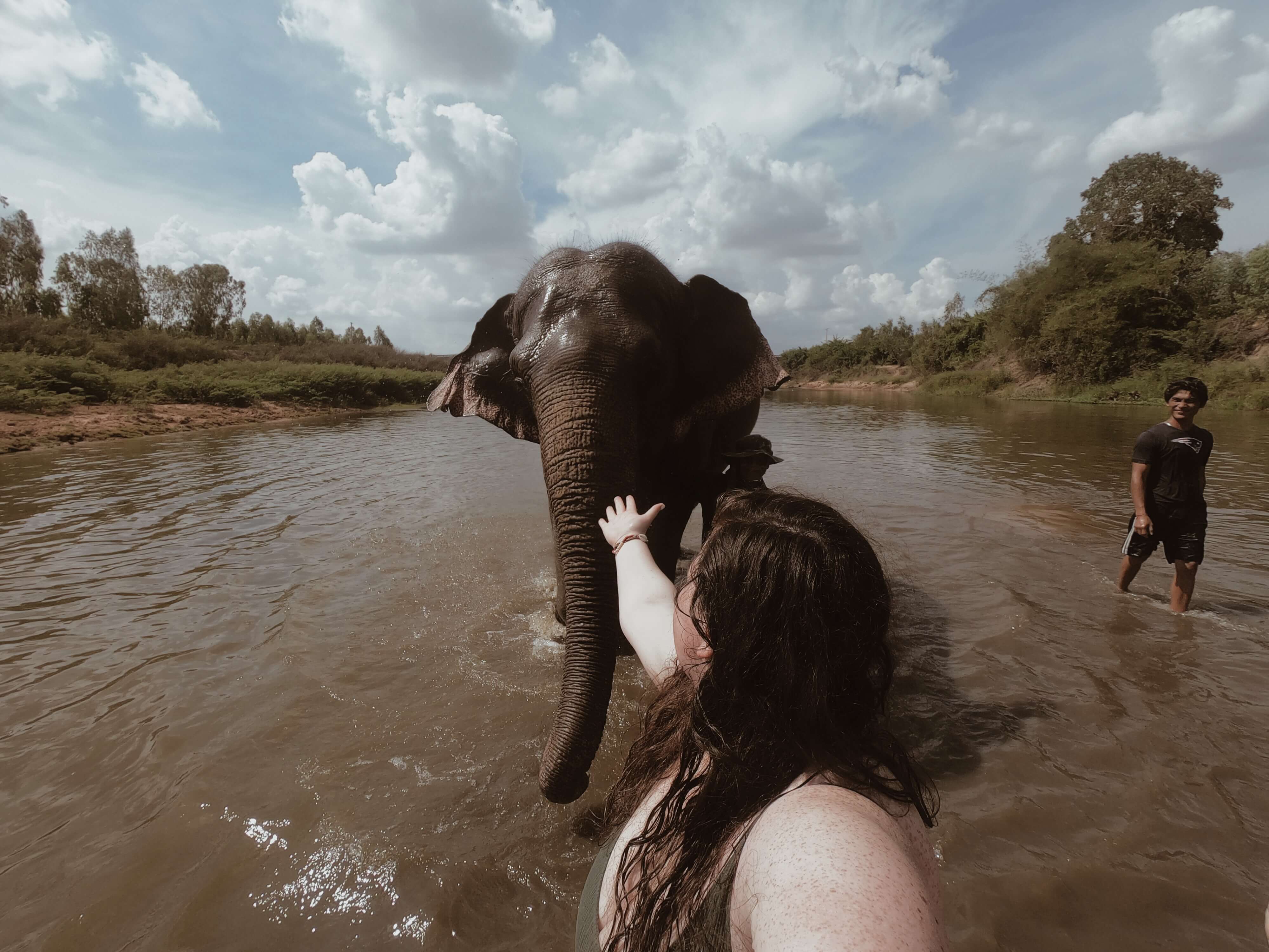 Volunteering in an elephant sanctuary - Surin, Thailand