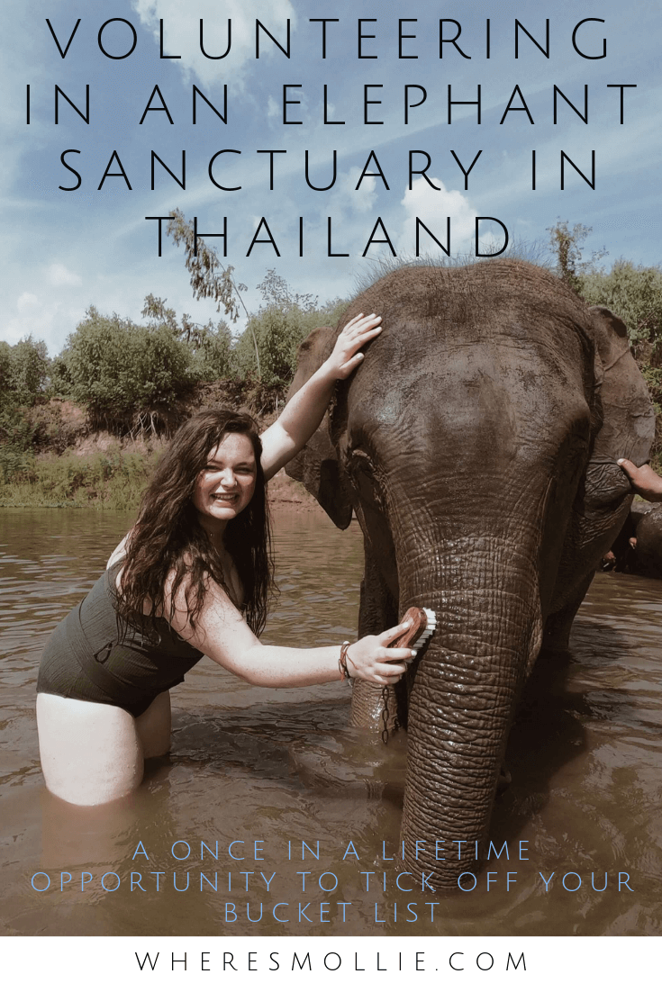Volunteering in an elephant sanctuary - Surin, Thailand