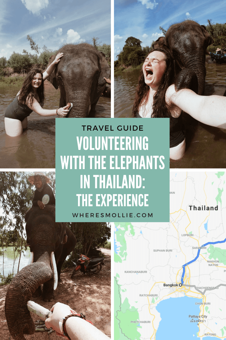 Volunteering in an elephant sanctuary - Surin, Thailand