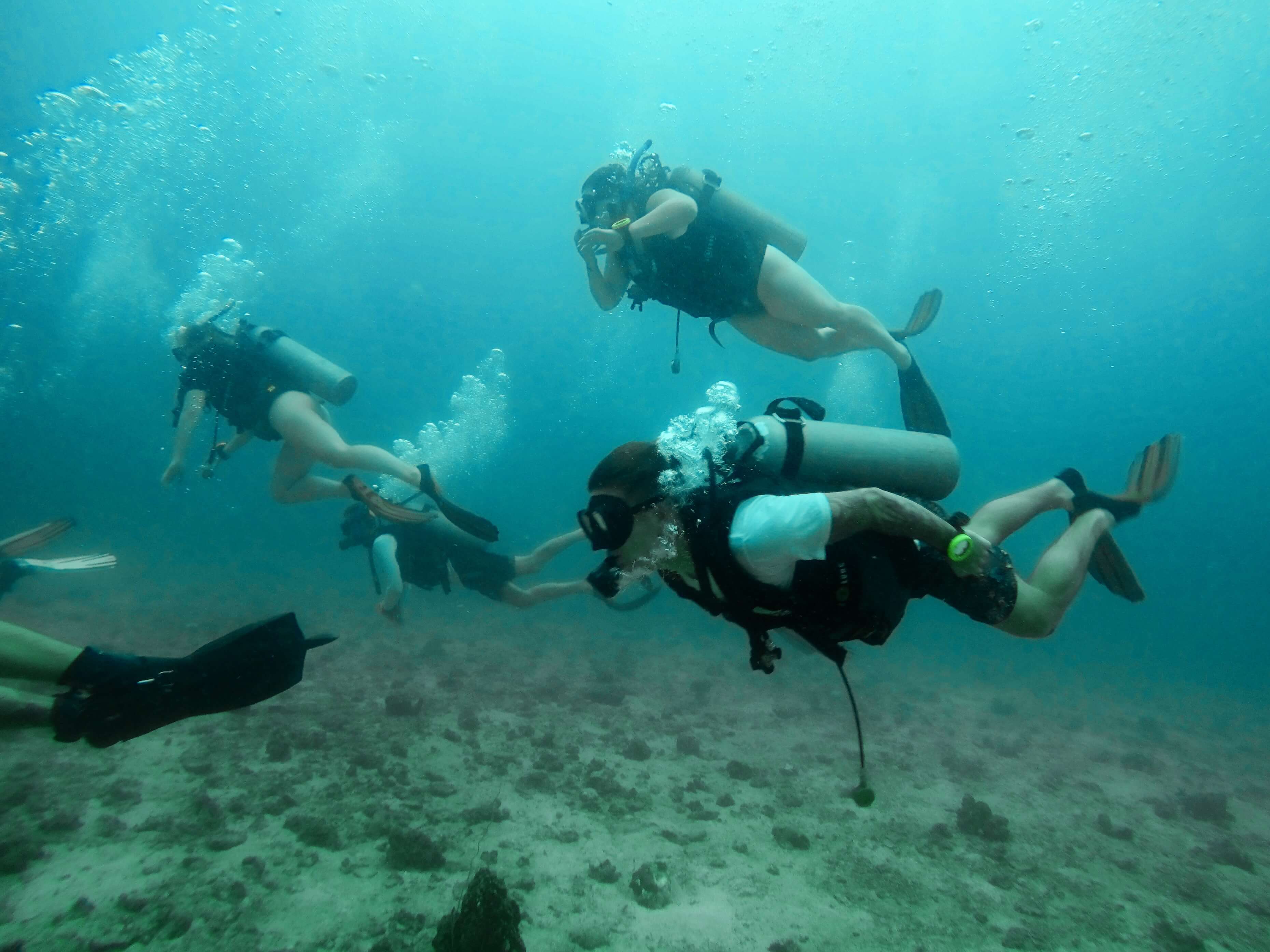 GETTING PADI CERTIFIED- EVERYTHING YOU NEED TO KNOW.