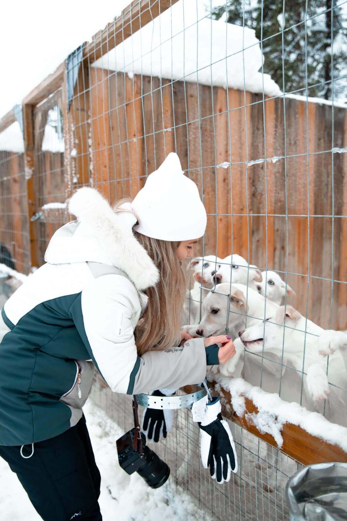 A winter travel guide to Levi, Finland