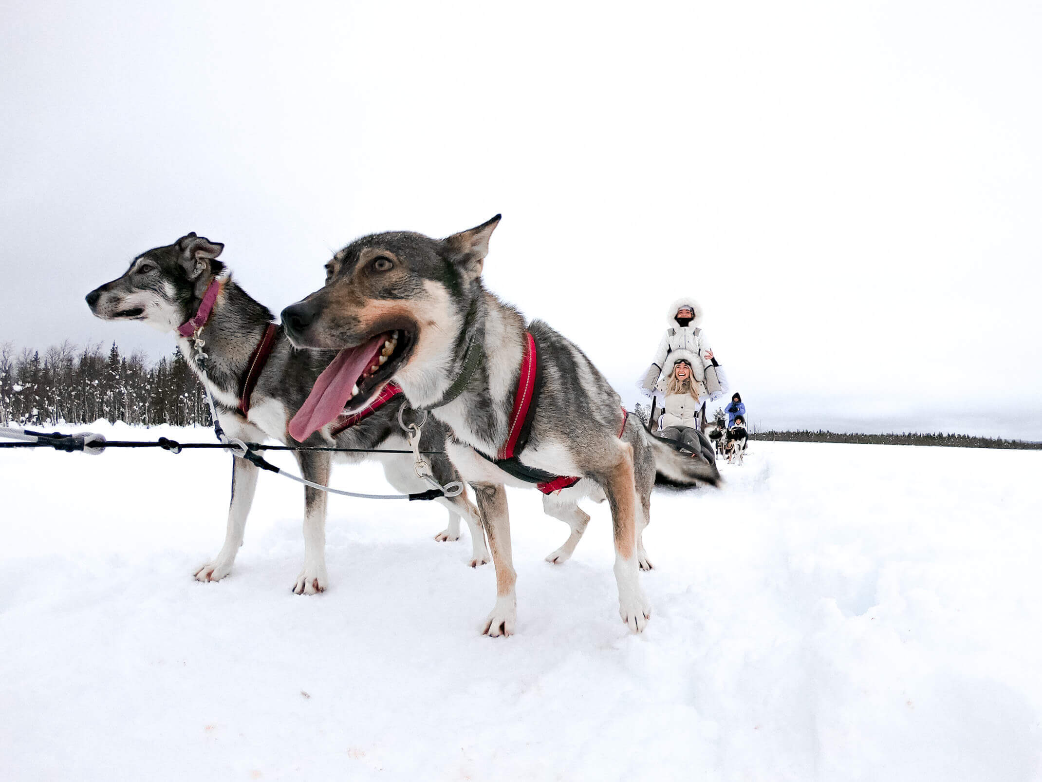 14 photos that will make you want to go to Finnish Lapland