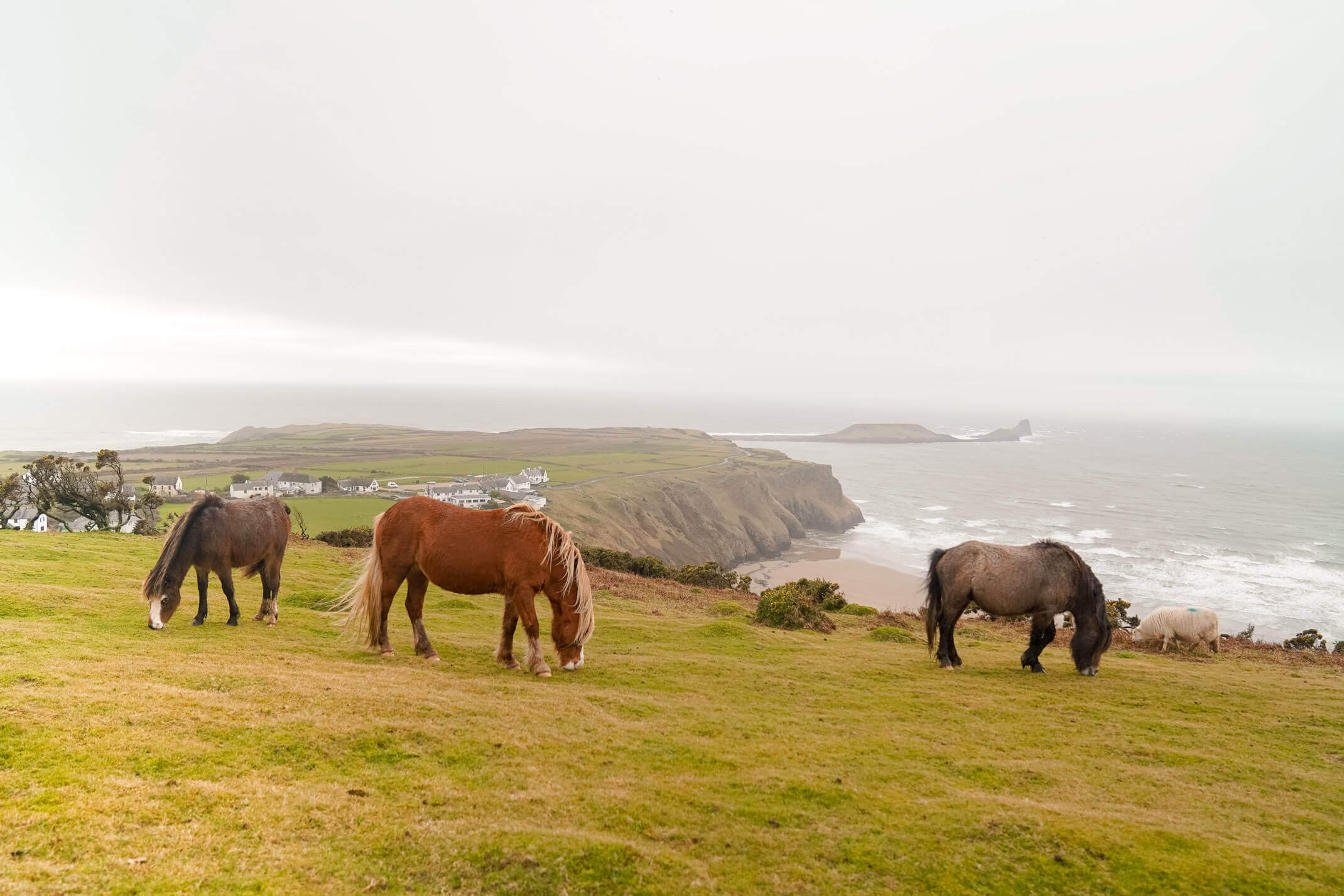 10 photos that will make you want to visit the Gower Peninsula | Where's Mollie? A travel and adventure lifestyle blog