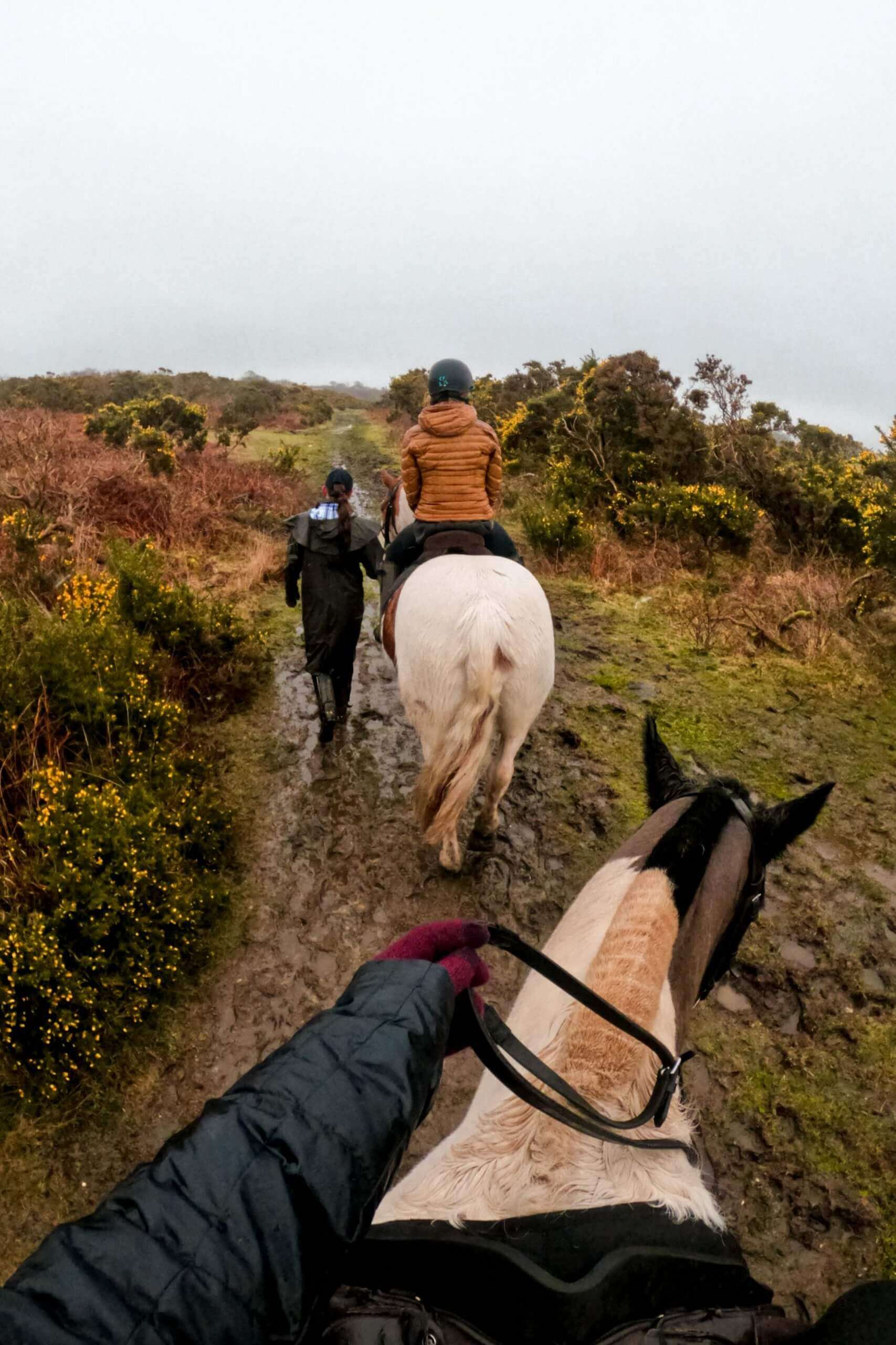 10 photos that will make you want to visit the Gower Peninsula