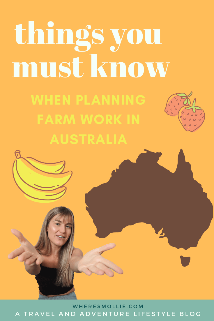 Farm work in Australia: Finding a job, top tips and advice