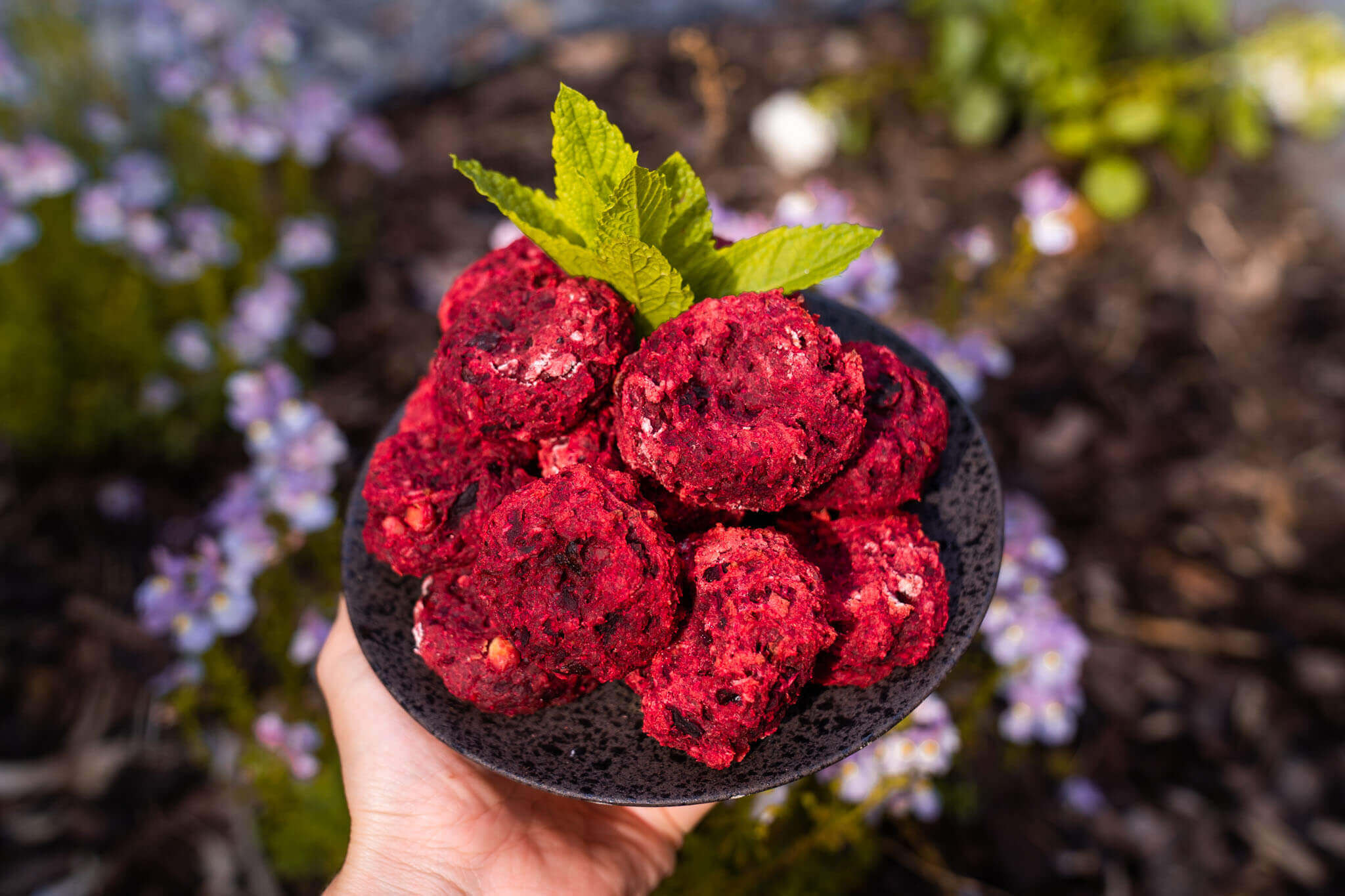 Beetroot and chickpea falafels