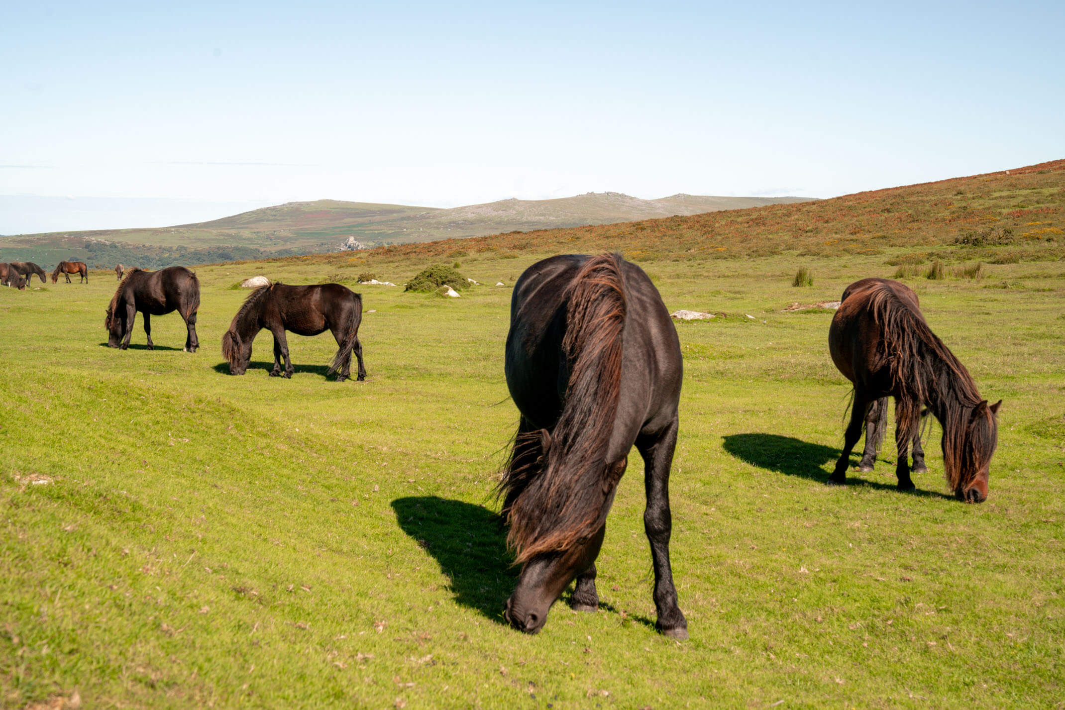 The best things to see and do in Devon, England