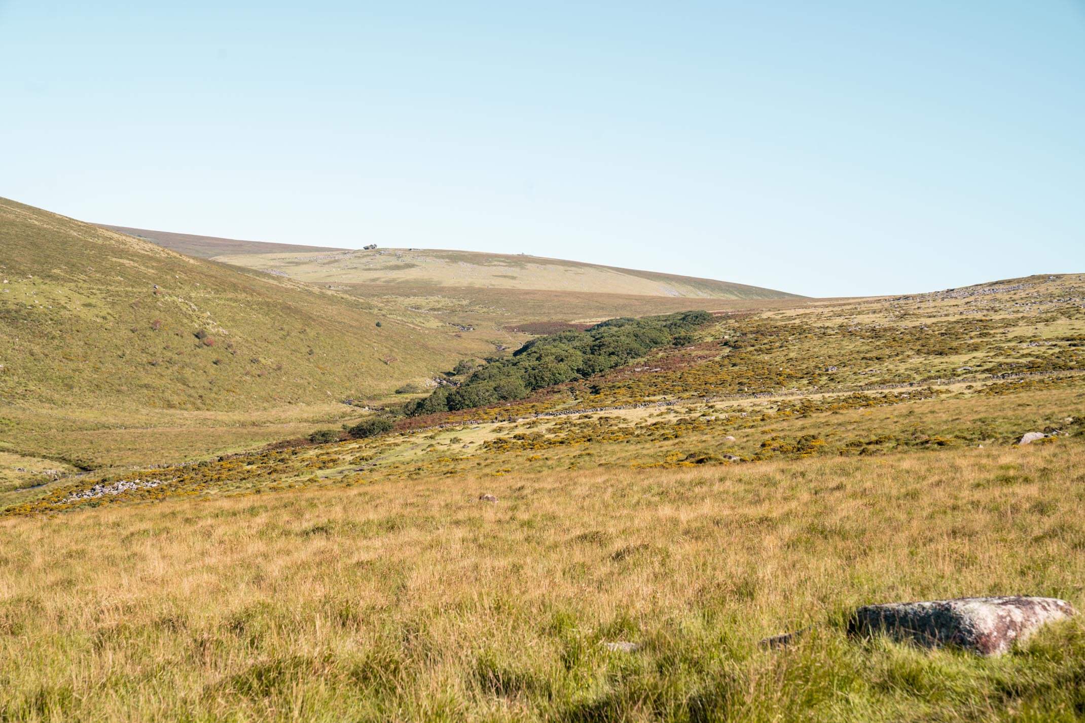 Wistman's Wood: A guide to exploring Dartmoor National Park, Devon