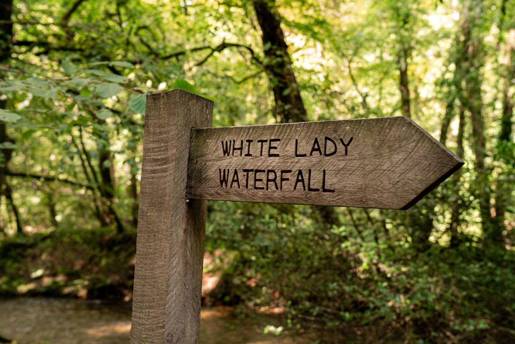 White Lady Waterfall: A guide to exploring Dartmoor National Park, Devon