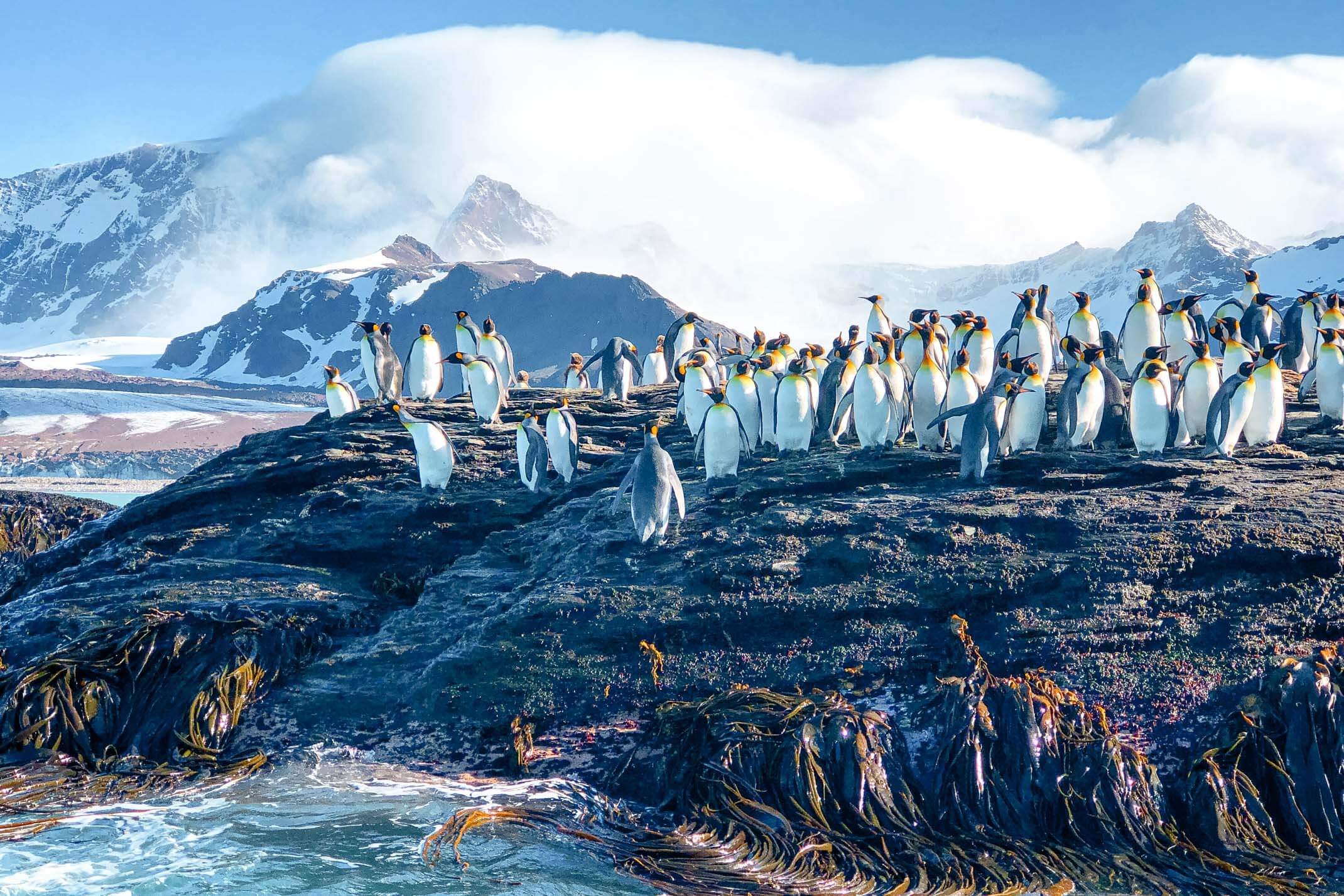 A complete guide to Antarctica