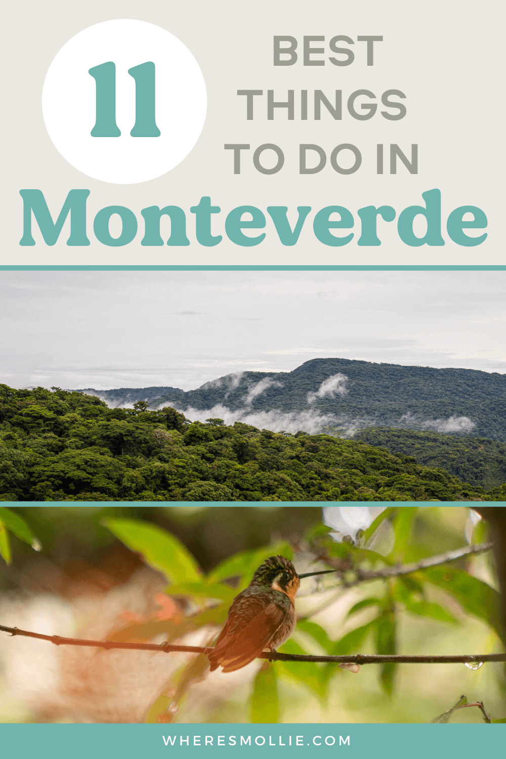 A guide to visiting Monteverde, Costa Rica